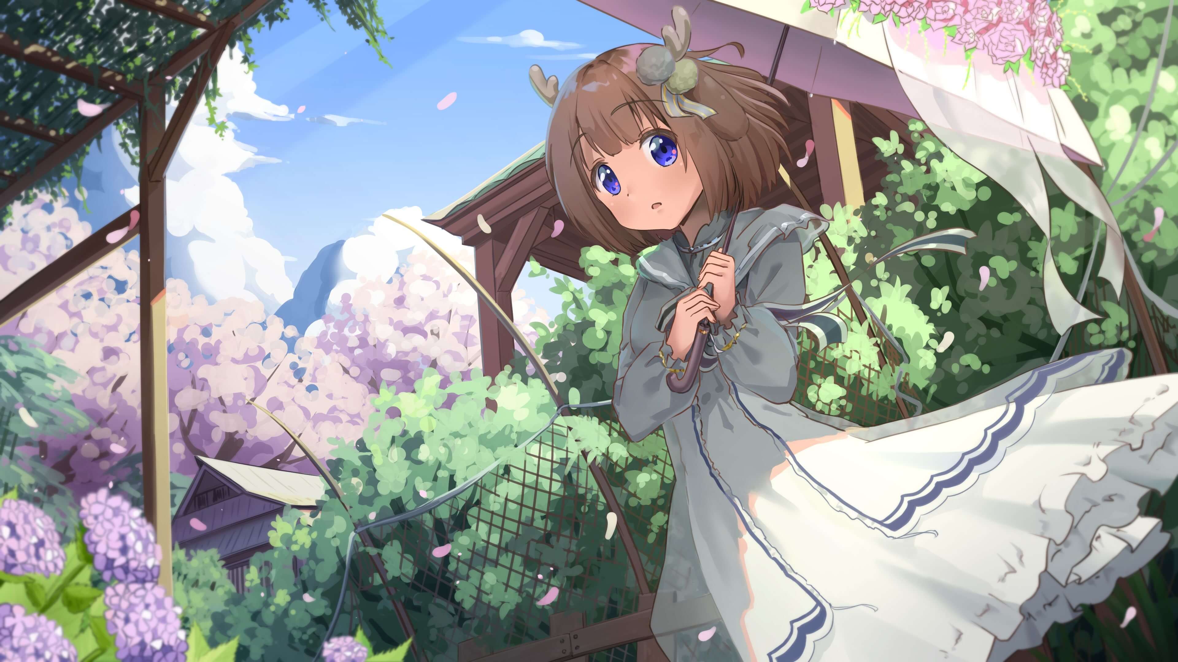 Featured image of post 技术教程